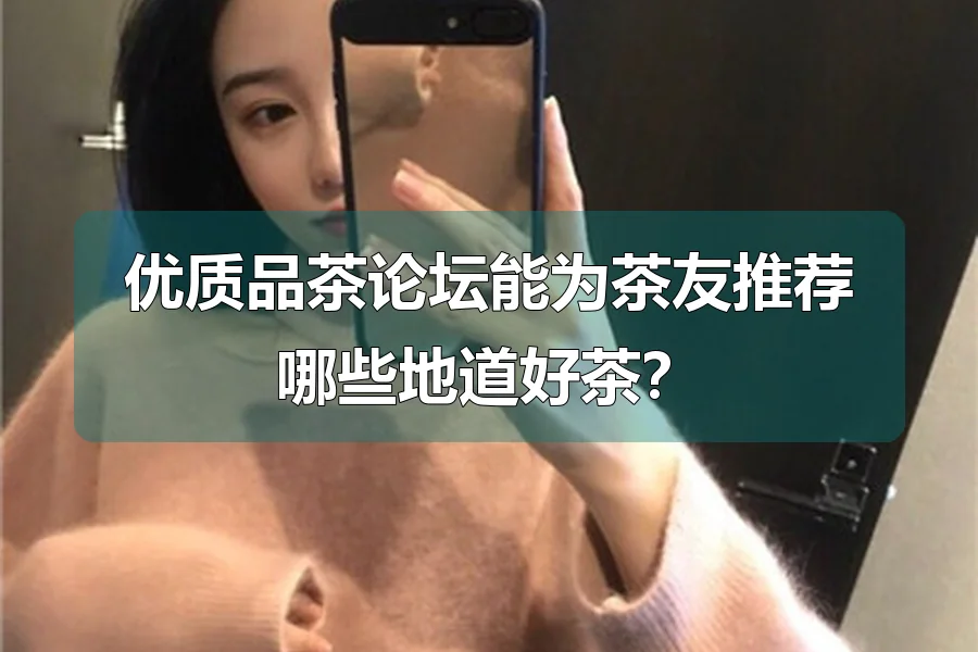 优质品茶论坛能为茶友推荐哪些地道好茶？